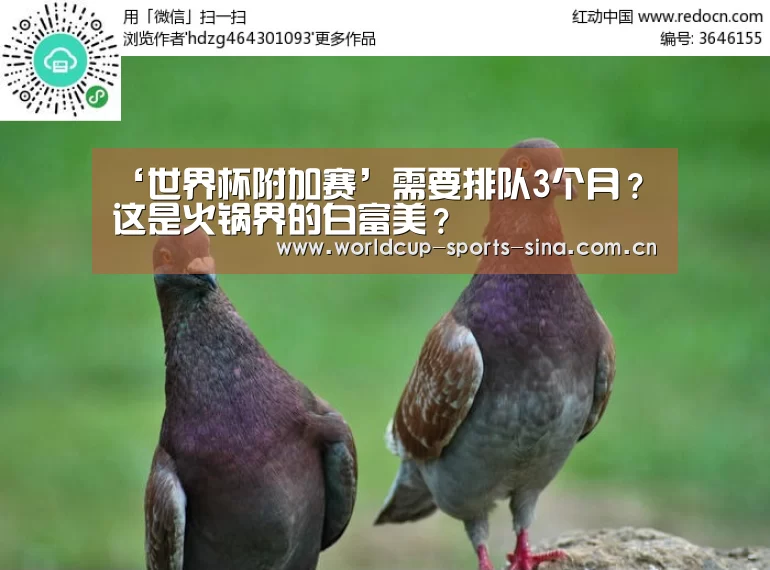 ‘世界杯附加赛’需要排队3个月?这是火锅界的白富美?(图2) 世界杯附加赛