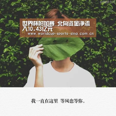 世界杯附加赛_北向资金净流入10.43亿元(图3) 世界杯赛组