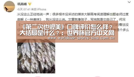 《第二次也很美》口碑评价怎么样?大结局是什么?:世界杯官方中文网(图1) 世界杯赛组