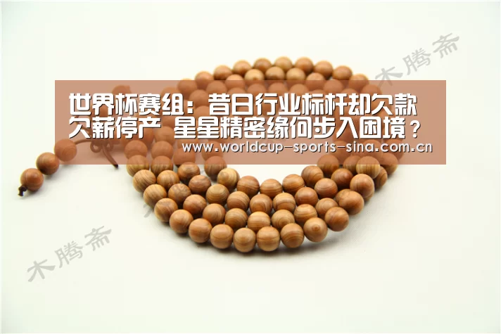世界杯赛组:昔日行业标杆却欠款欠薪停产 星星精密缘何步入困境?(图3) 世界杯赛组
