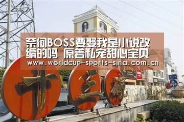 奈何BOSS要娶我是小说改编的吗 原著私宠甜心宝贝哪里看‘世界杯附加赛’(图1) 世界杯赛组