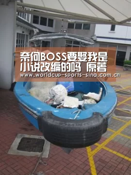 奈何BOSS要娶我是小说改编的吗 原著私宠甜心宝贝哪里看‘世界杯附加赛’(图3) 世界杯附加赛