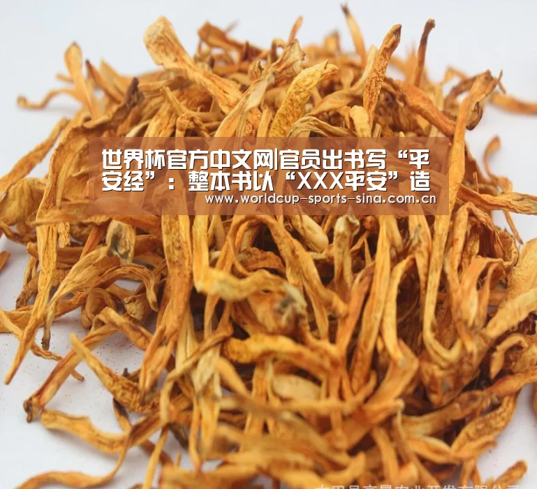 世界杯赛组