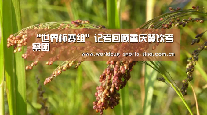 “世界杯赛组”记者回顾重庆餐饮考察团(图2) 世界杯官方中文网