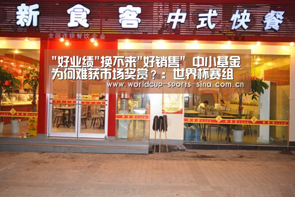 好业绩换不来好销售 中小基金为何难获市场奖赏?:世界杯赛组(图1) 世界杯附加赛