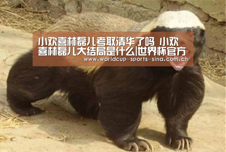 小欢喜林磊儿考取清华了吗 小欢喜林磊儿大结局是什么|世界杯官方中文网(图1) 世界杯附加赛