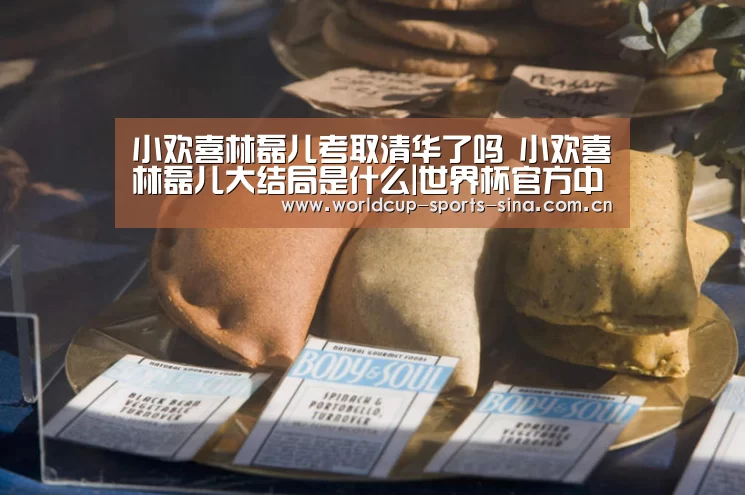 小欢喜林磊儿考取清华了吗 小欢喜林磊儿大结局是什么|世界杯官方中文网(图2) 世界杯附加赛