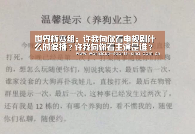 世界杯赛组