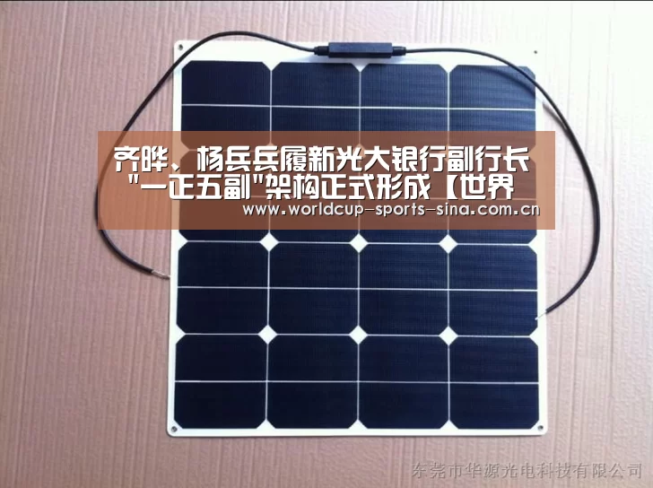 齐晔、杨兵兵履新光大银行副行长 一正五副架构正式形成【世界杯附加赛】(图4) 世界杯附加赛