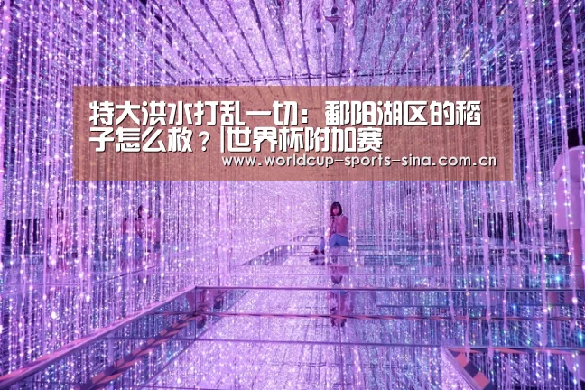 特大洪水打乱一切:鄱阳湖区的稻子怎么救?|世界杯附加赛(图1) 世界杯附加赛