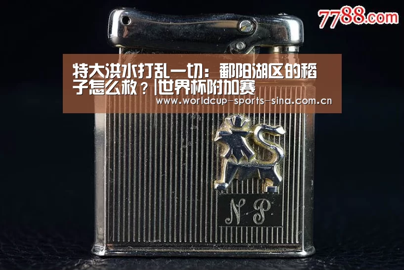 特大洪水打乱一切:鄱阳湖区的稻子怎么救?|世界杯附加赛(图3) 世界杯赛组