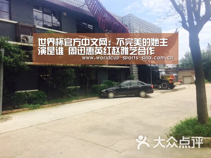 世界杯官方中文网:不完美的她主演是谁 周迅惠英红赵雅芝合作(图2) 世界杯官方中文网
